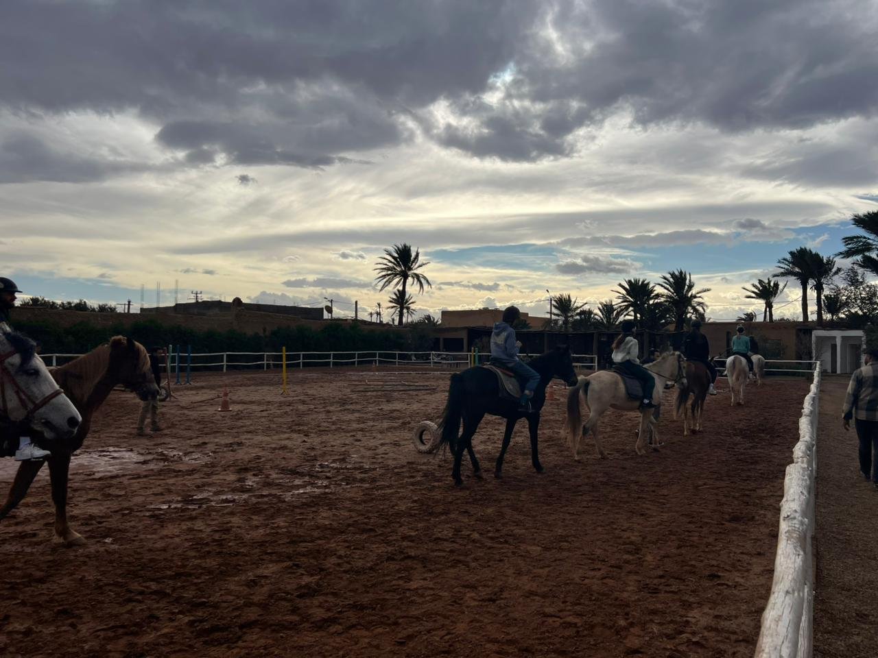 HORSEBACK RIDING EXPERIENCE MARRAKECH