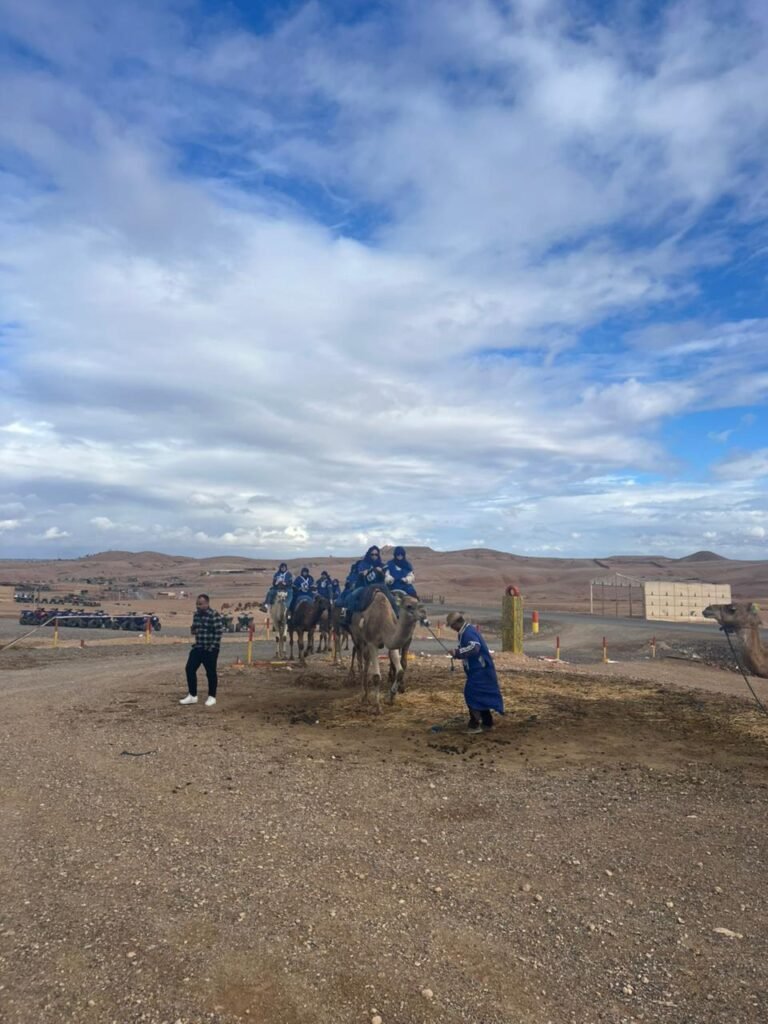 Things to do in Marrakech