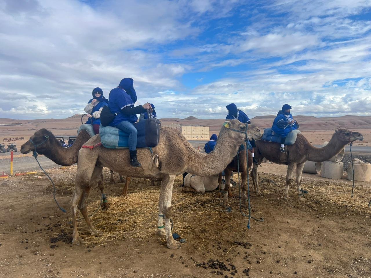 Camel Ride Experience Marrakech