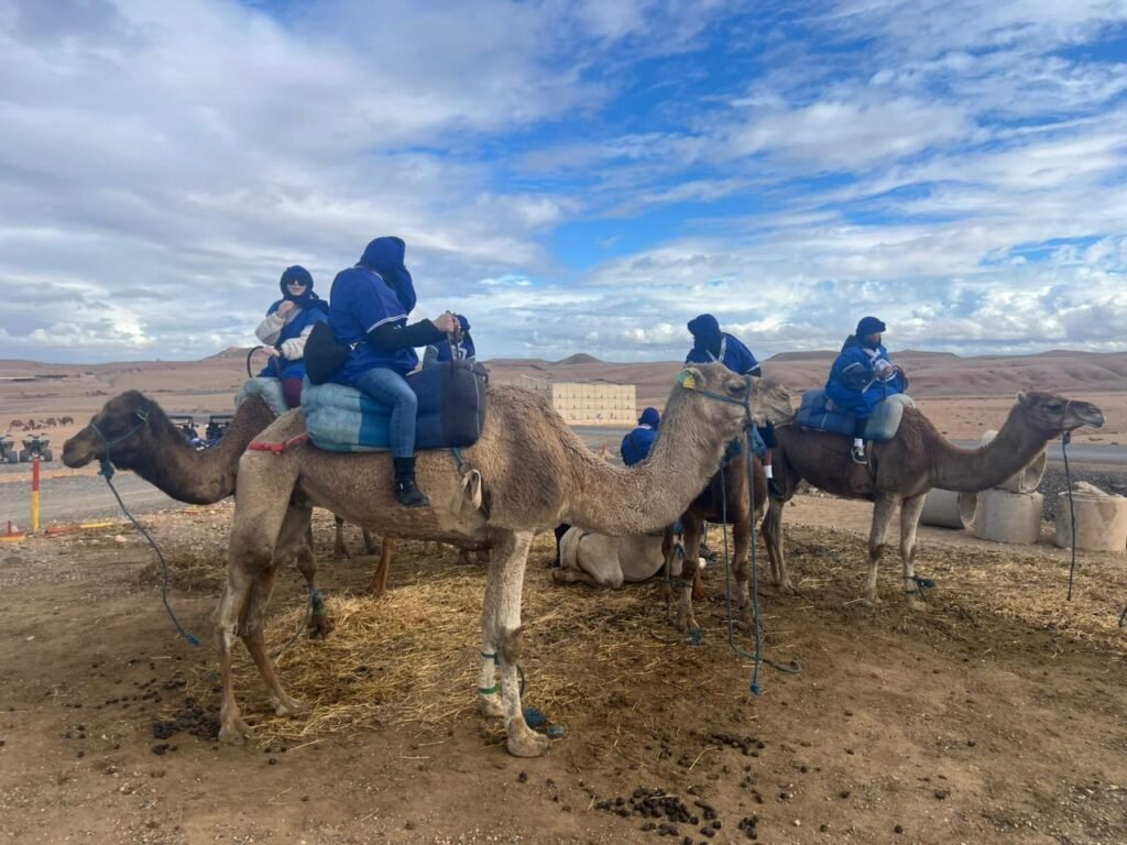 Things to do in Marrakech