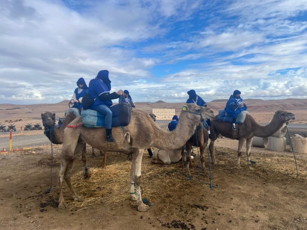 Things to do in Marrakech